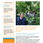 Il cortile nel mondo