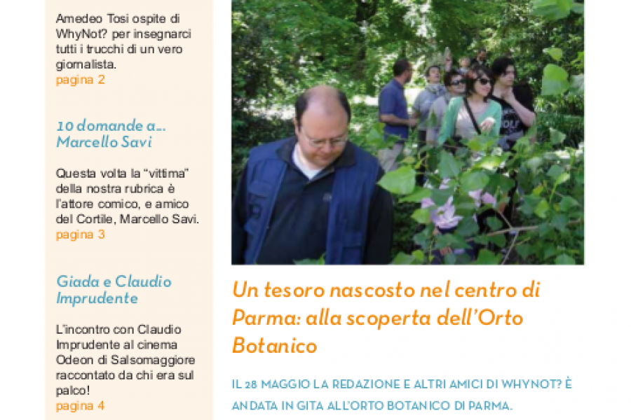 Il cortile nel mondo
